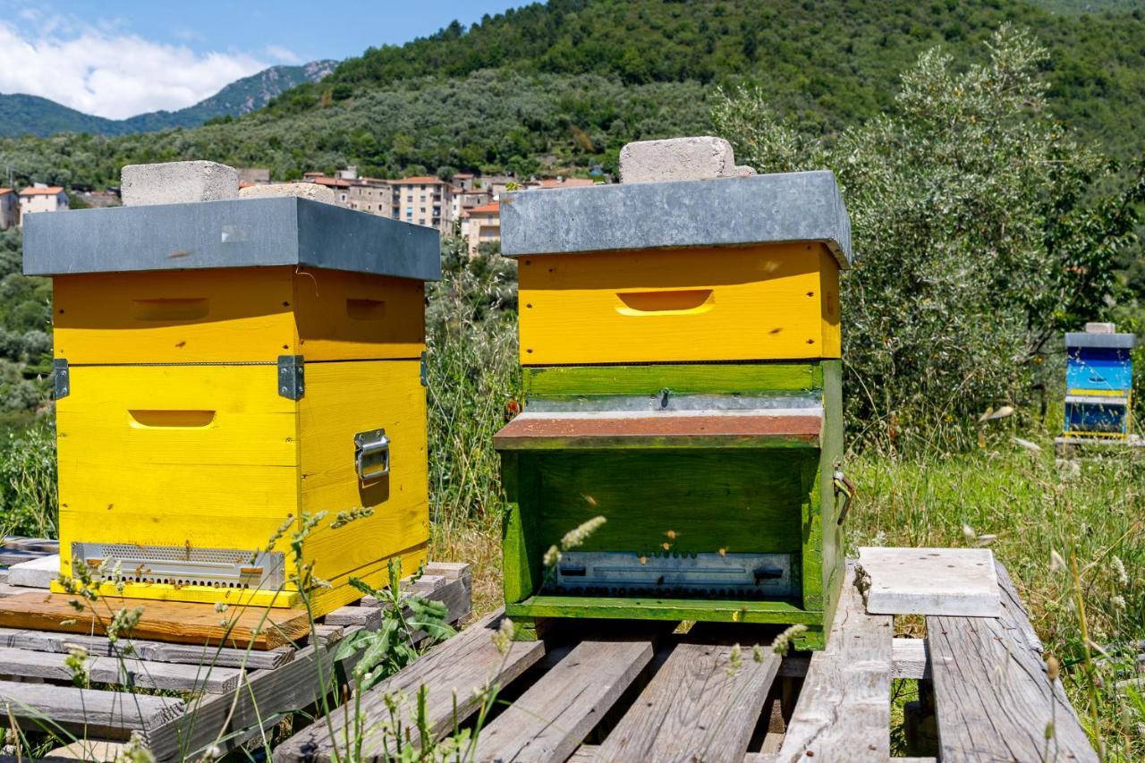 Arve Castelbianco - B&B E Appartamento Colletta Exteriör bild