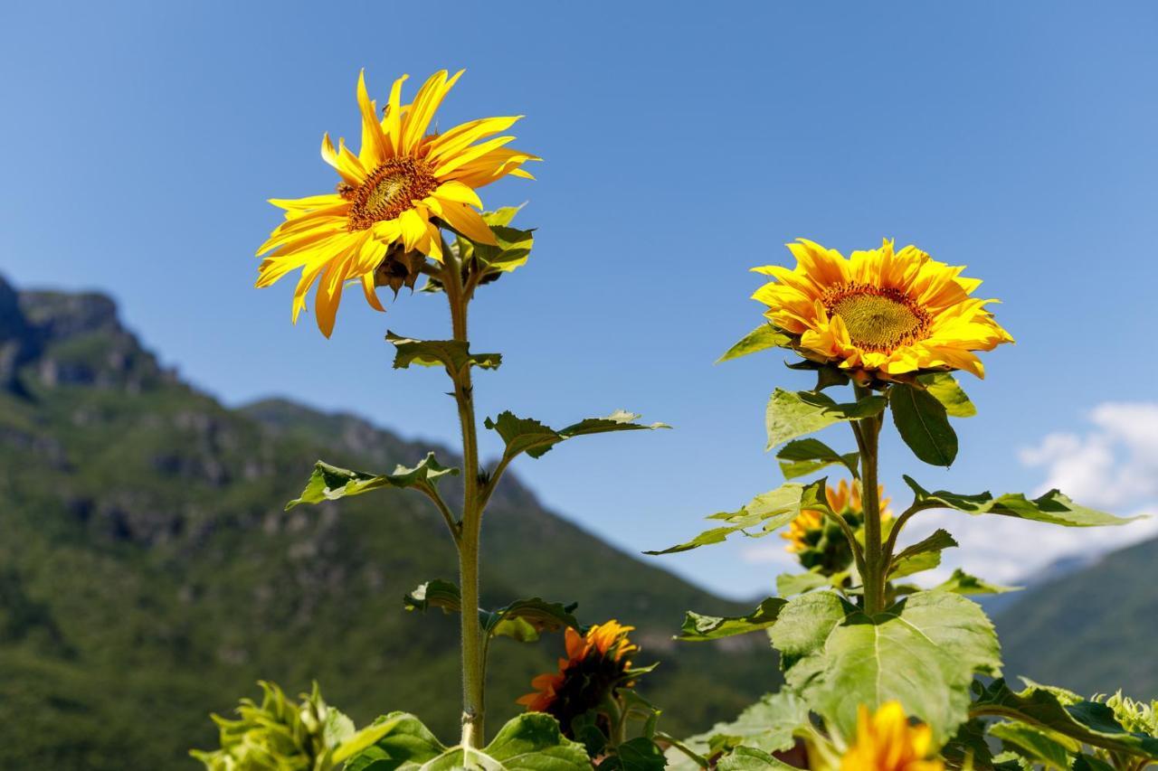 Arve Castelbianco - B&B E Appartamento Colletta Exteriör bild